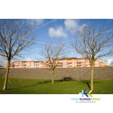 28-01-2010 Lobede F00001960